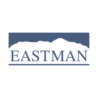 Logo Eastman - bleu argent-web