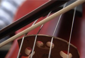 cello02_classe_web