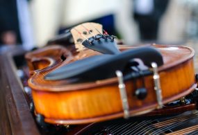Violon